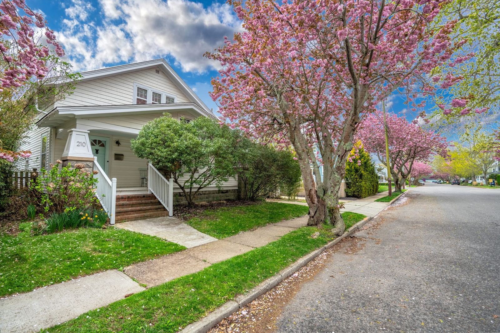 210 5th Street front facade with cherry blossoms in spring